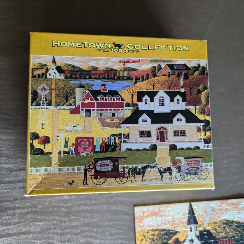 1000 piece puzzle based on artist painting. Missing corner. Good summer activity